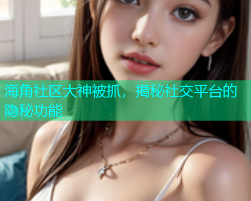 海角社区大神被抓，揭秘社交平台的隐秘功能