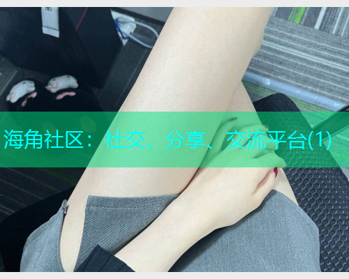 海角社区:社交、分享、交流平台(1) 海角社区:社交、分享、交流平台(1)
