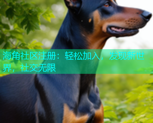 海角社区注册:轻松加入,发现新世界,社交无限 海角社区注册:轻松加入,发现新世界,社交无限